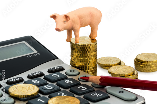 Photo: Schwein und Taschenrechner Schwein und Taschenrechner