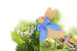 Osterfest Einladung, Ostern Osterhase