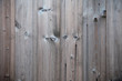 old wood