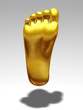 Illustrazione: golden Foot sole golden Foot sole