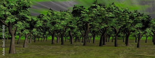 Illustration: Deep forest Deep forest