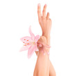 Women's hands with pink lily