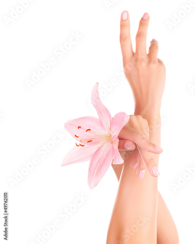 Photo: Women's hands with pink lily Women's hands with pink lily