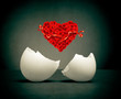 Foto: Heart of red roses hatched from an egg. Heart of red roses hatched from an egg.