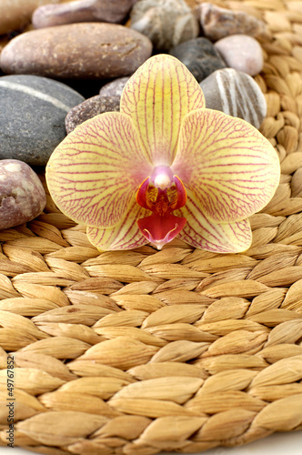 Photo: pebble with beautiful orchid on woven mat pebble with beautiful orchid on woven mat