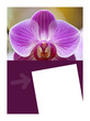 Photo: Fond, maquette, print, mis en page, jardin, végétal, marketing Fond, maquette, print, mis en page, jardin, végétal, marketing