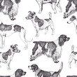Dog background