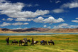 Nomad life