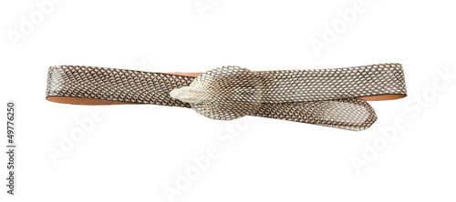 Photo: Cobra skin belt Cobra skin belt