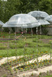 jardin des six sens,Wesserling,  Vosges, Alsace, 68, Haut Rhin