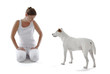 Jack Russell Terrier looking to woman on white background