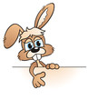 Illustration: Easter Bunny pointing on Board Easter Bunny pointing on Board