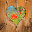 Coquelicots, coeur en bois