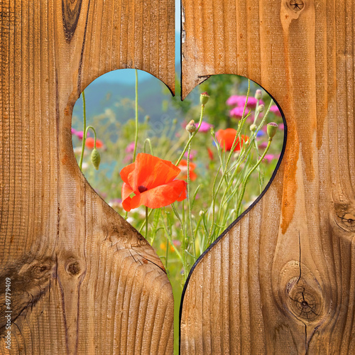 Photo: Coquelicots, coeur en bois Coquelicots, coeur en bois