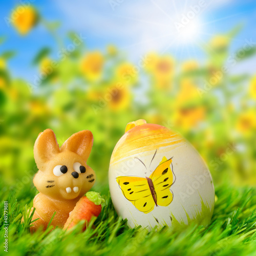 Photo: Osterwiese und Sonnenblumenfeld Osterwiese und Sonnenblumenfeld