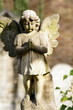 Cupid angel
