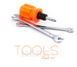 Wrenchs and screwdriver