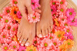 Beauty treatment photo of nice pedicured feet