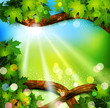 Vector spring background with trees and sun