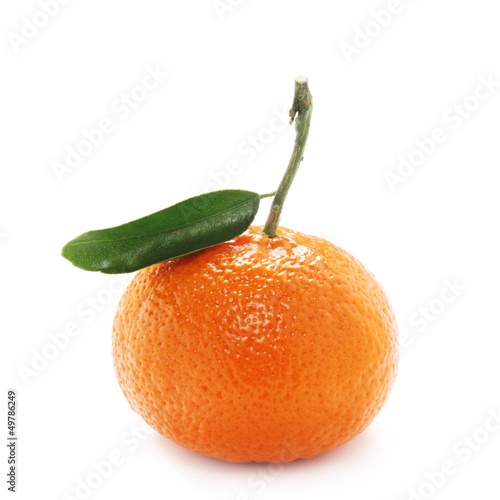 Photo: Tangerine Tangerine