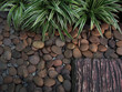 river stone