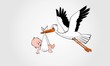 stork carrying baby home