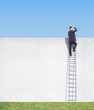 man climbing on ladder