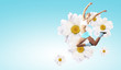 Image of sport woman jumping