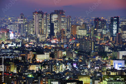 Photo: Shinjuku Skyline Shinjuku Skyline