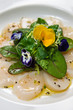 jakobsmuschel-carpaccio