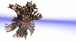Fractal Structures Animation