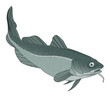 Vector: codfish codfish