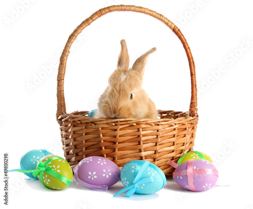 Photo: Fluffy foxy rabbit in basket with Easter eggs isolated on white Fluffy foxy rabbit in basket with Easter eggs isolated on white