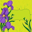 Vector vignette with iris flowers