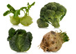 fresh vegetables isolated over white background