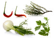 Foto: aromatic plants over white background aromatic plants over white background