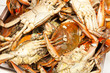 Cooked blue crabs