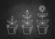 Vector: Drawing of flowers on blackboard Drawing of flowers on blackboard