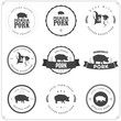 Set of premium pork meat labels