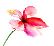 Stylized flowers,