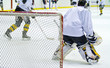 hockey player during a game
