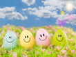 Photo: easter egg easter egg
