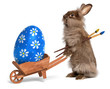Funny Easter bunny rabbit with a wheelbarrow and an Easter egg