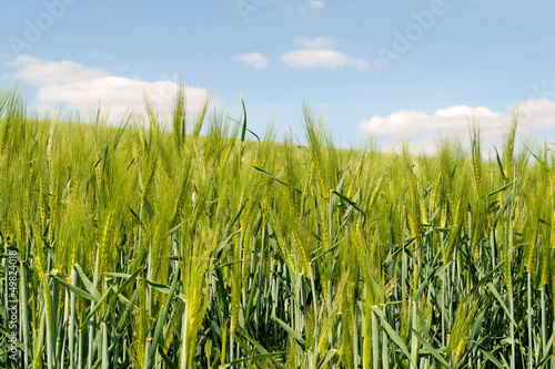 Photo: Gerstenfeld Gerstenfeld