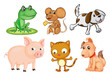 Differrent kinds of land animals