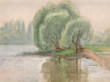 Willows near water