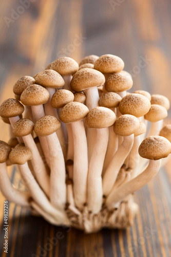 Photo: Brown beech mushrooms Brown beech mushrooms