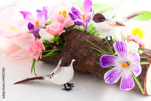Photo: spring flowers and birds spring flowers and birds