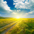 Summer landscape with green grass, road and clouds