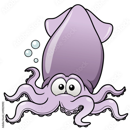 Vector: illustration of squid cartoon illustration of squid cartoon